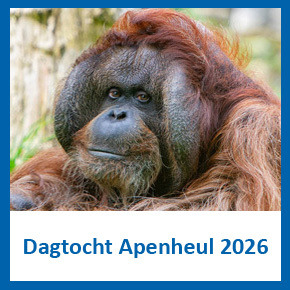 Dagtocht Apenheul 2026